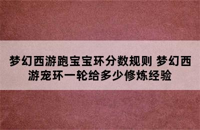 梦幻西游跑宝宝环分数规则 梦幻西游宠环一轮给多少修炼经验